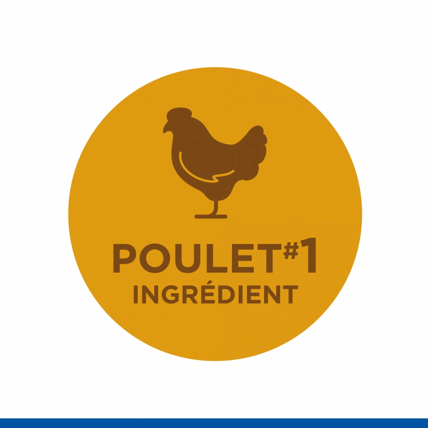 HILL'S Science Plan No Grain All Breed Mature Adult 7+ Au Poulet - Croquettes Pour Chien 6 HILL'S Science Plan No Grain All Breed Mature Adult 7+ Au Poulet - Croquettes Pour Chien – Image 6