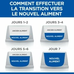 HILL'S Science Plan No Grain All Breed Mature Adult 7+ Au Poulet - Croquettes Pour Chien 14 HILL'S Science Plan No Grain All Breed Mature Adult 7+ Au Poulet - Croquettes Pour Chien -Promos Wanimo Boutique hill s science plan no grain all breed mature adult au poulet croquettes pour chien 1 6