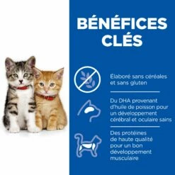 HILL'S Science Plan No Grain Kitten Au Poulet - Croquettes Pour Chaton -Promos Wanimo Boutique hill s science plan no grain kitten au poulet croquettes pour chaton 1 3