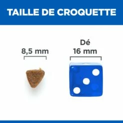 HILL'S Science Plan No Grain Kitten Au Poulet - Croquettes Pour Chaton -Promos Wanimo Boutique hill s science plan no grain kitten au poulet croquettes pour chaton 1 4