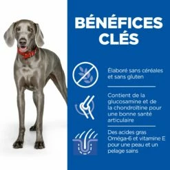 HILL'S Science Plan No Grain Large Adult Au Poulet - Croquettes Pour Chien 9 HILL'S Science Plan No Grain Large Adult Au Poulet - Croquettes Pour Chien -Promos Wanimo Boutique hill s science plan no grain large adult au poulet croquettes pour chien 1 2