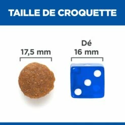 HILL'S Science Plan No Grain Large Adult Au Poulet - Croquettes Pour Chien 11 HILL'S Science Plan No Grain Large Adult Au Poulet - Croquettes Pour Chien -Promos Wanimo Boutique hill s science plan no grain large adult au poulet croquettes pour chien 1 4