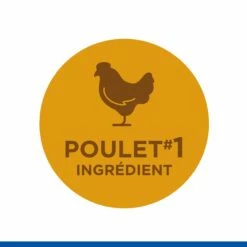 HILL'S Science Plan No Grain Large Adult Au Poulet - Croquettes Pour Chien 12 HILL'S Science Plan No Grain Large Adult Au Poulet - Croquettes Pour Chien -Promos Wanimo Boutique hill s science plan no grain large adult au poulet croquettes pour chien 1 5