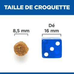 HILL'S Science Plan No Grain Mature Adult 7+ Au Poulet - Croquettes Pour Chat -Promos Wanimo Boutique hill s science plan no grain mature adult au poulet croquettes pour chat 1 4