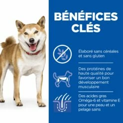 HILL'S Science Plan No Grain Medium Adult Au Poulet - Croquettes Pour Chien -Promos Wanimo Boutique hill s science plan no grain medium adult au poulet croquettes pour chien 1 2