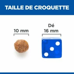 HILL'S Science Plan No Grain Medium Adult Au Poulet - Croquettes Pour Chien -Promos Wanimo Boutique hill s science plan no grain medium adult au poulet croquettes pour chien 1 4