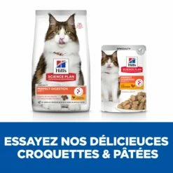HILL'S Science Plan Perfect Digestion Adult Au Poulet - Croquettes Pour Chat -Promos Wanimo Boutique hill s science plan perfect digestion adult au poulet croquettes pour chat 1 5