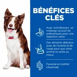 HILL'S Science Plan Perfect Digestion All Breed Adult En Mijotés Au Poulet - Pâtée Pour Chien -Promos Wanimo Boutique hill s science plan perfect digestion all breed adult en mijotes au poulet patee pour chien 1 2
