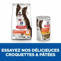 HILL'S Science Plan Perfect Digestion All Breed Adult En Mijotés Au Poulet - Pâtée Pour Chien -Promos Wanimo Boutique hill s science plan perfect digestion all breed adult en mijotes au poulet patee pour chien 1 3