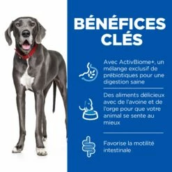 HILL'S Science Plan Perfect Digestion Large Adult Au Poulet - Croquettes Pour Chien 9 HILL'S Science Plan Perfect Digestion Large Adult Au Poulet - Croquettes Pour Chien -Promos Wanimo Boutique hill s science plan perfect digestion large adult au poulet croquettes pour chien 1 2