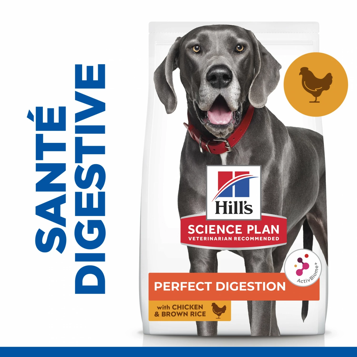HILL'S Science Plan Perfect Digestion Large Adult Au Poulet - Croquettes Pour Chien 4 HILL'S Science Plan Perfect Digestion Large Adult Au Poulet - Croquettes Pour Chien – Image 4