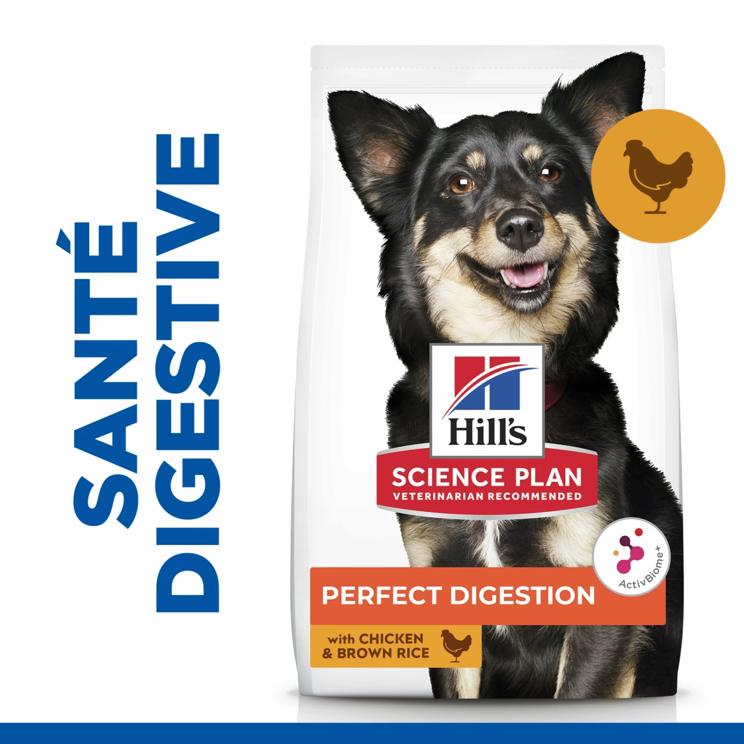 HILL'S Science Plan Perfect Digestion Small & Mini Adult Au Poulet - Croquettes Pour Chien 4 HILL'S Science Plan Perfect Digestion Small & Mini Adult Au Poulet - Croquettes Pour Chien – Image 4