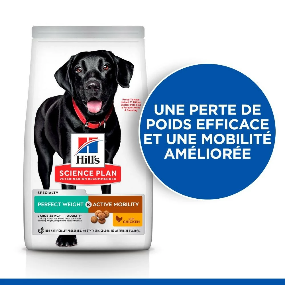 HILL'S Science Plan Perfect Weight & Active Mobility Large Adult Au Poulet - Croquettes Pour Chien 2 HILL'S Science Plan Perfect Weight & Active Mobility Large Adult Au Poulet - Croquettes Pour Chien – Image 2