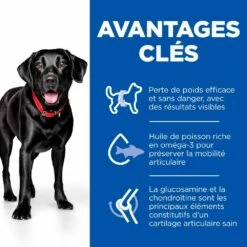 HILL'S Science Plan Perfect Weight & Active Mobility Large Adult Au Poulet - Croquettes Pour Chien 9 HILL'S Science Plan Perfect Weight & Active Mobility Large Adult Au Poulet - Croquettes Pour Chien -Promos Wanimo Boutique hill s science plan perfect weight active mobility large adult au poulet croquettes pour chien 1 2