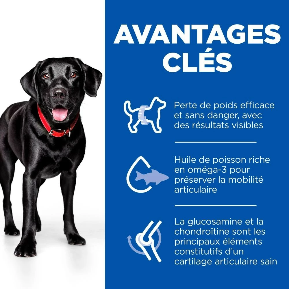 HILL'S Science Plan Perfect Weight & Active Mobility Large Adult Au Poulet - Croquettes Pour Chien 3 HILL'S Science Plan Perfect Weight & Active Mobility Large Adult Au Poulet - Croquettes Pour Chien – Image 3