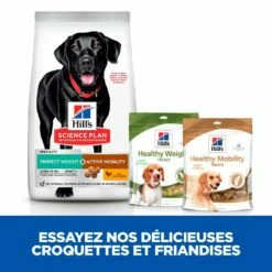 HILL'S Science Plan Perfect Weight & Active Mobility Large Adult Au Poulet - Croquettes Pour Chien 10 HILL'S Science Plan Perfect Weight & Active Mobility Large Adult Au Poulet - Croquettes Pour Chien -Promos Wanimo Boutique hill s science plan perfect weight active mobility large adult au poulet croquettes pour chien 1 3