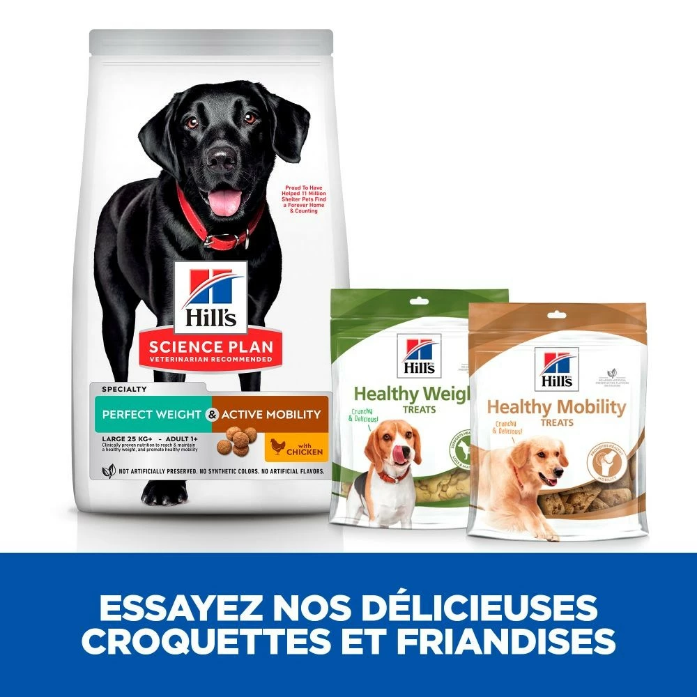 HILL'S Science Plan Perfect Weight & Active Mobility Large Adult Au Poulet - Croquettes Pour Chien 4 HILL'S Science Plan Perfect Weight & Active Mobility Large Adult Au Poulet - Croquettes Pour Chien – Image 4