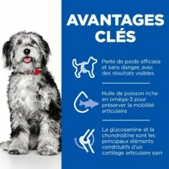 HILL'S Science Plan Perfect Weight & Active Mobility Medium Adult Au Poulet - Croquettes Pour Chien -Promos Wanimo Boutique hill s science plan perfect weight active mobility medium adult au poulet croquettes pour chien 1 2