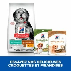 HILL'S Science Plan Perfect Weight & Active Mobility Medium Adult Au Poulet - Croquettes Pour Chien -Promos Wanimo Boutique hill s science plan perfect weight active mobility medium adult au poulet croquettes pour chien 1 3