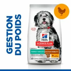HILL'S Science Plan Perfect Weight & Active Mobility Medium Adult Au Poulet - Croquettes Pour Chien -Promos Wanimo Boutique hill s science plan perfect weight active mobility medium adult au poulet croquettes pour chien 1 4
