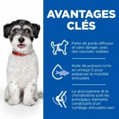 HILL'S Science Plan Perfect Weight & Active Mobility Small & Mini Adult Au Poulet - Croquettes Pour Chien 9 HILL'S Science Plan Perfect Weight & Active Mobility Small & Mini Adult Au Poulet - Croquettes Pour Chien -Promos Wanimo Boutique hill s science plan perfect weight active mobility small mini adult au poulet croquettes pour chien 1 2