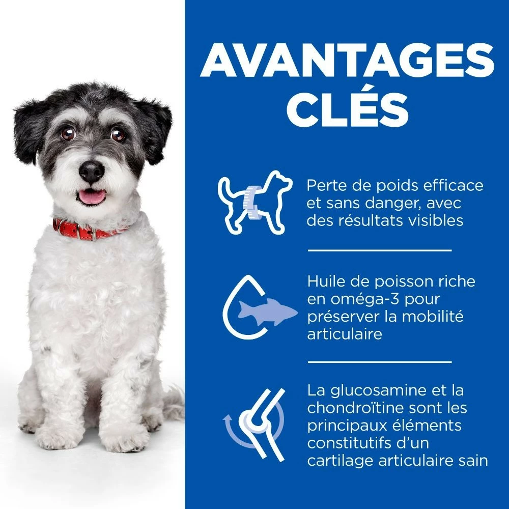 HILL'S Science Plan Perfect Weight & Active Mobility Small & Mini Adult Au Poulet - Croquettes Pour Chien 3 HILL'S Science Plan Perfect Weight & Active Mobility Small & Mini Adult Au Poulet - Croquettes Pour Chien – Image 3