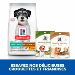 HILL'S Science Plan Perfect Weight & Active Mobility Small & Mini Adult Au Poulet - Croquettes Pour Chien 10 HILL'S Science Plan Perfect Weight & Active Mobility Small & Mini Adult Au Poulet - Croquettes Pour Chien -Promos Wanimo Boutique hill s science plan perfect weight active mobility small mini adult au poulet croquettes pour chien 1 3