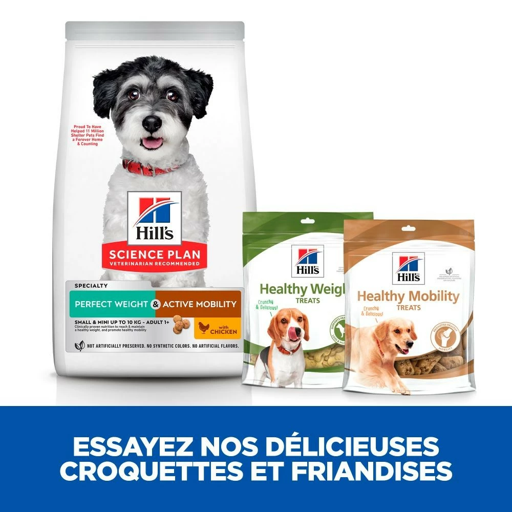 HILL'S Science Plan Perfect Weight & Active Mobility Small & Mini Adult Au Poulet - Croquettes Pour Chien 4 HILL'S Science Plan Perfect Weight & Active Mobility Small & Mini Adult Au Poulet - Croquettes Pour Chien – Image 4