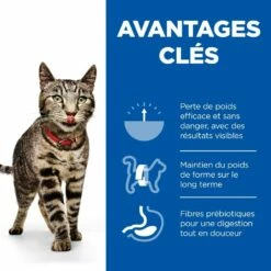 HILL'S Science Plan Perfect Weight Adult Au Poulet - Croquettes Pour Chat -Promos Wanimo Boutique hill s science plan perfect weight adult au poulet croquettes pour chat 1 2