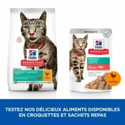 HILL'S Science Plan Perfect Weight Adult Au Poulet - Croquettes Pour Chat -Promos Wanimo Boutique hill s science plan perfect weight adult au poulet croquettes pour chat 1 3