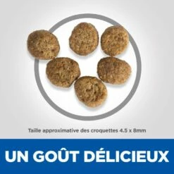 HILL'S Science Plan Perfect Weight Adult Au Poulet - Croquettes Pour Chat -Promos Wanimo Boutique hill s science plan perfect weight adult au poulet croquettes pour chat 1 5