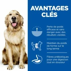 HILL'S Science Plan Perfect Weight Large Adult Au Poulet - Croquettes Pour Chien -Promos Wanimo Boutique hill s science plan perfect weight large adult au poulet croquettes pour chien 1 2