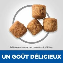 HILL'S Science Plan Perfect Weight Large Adult Au Poulet - Croquettes Pour Chien -Promos Wanimo Boutique hill s science plan perfect weight large adult au poulet croquettes pour chien 1 3