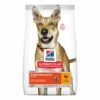 HILL'S Science Plan Performance All Breed Adult Au Poulet - Croquettes Pour Chien