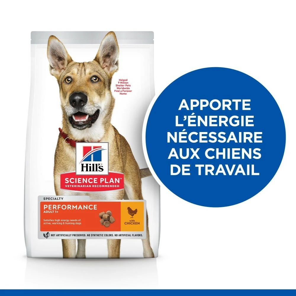 HILL'S Science Plan Performance All Breed Adult Au Poulet - Croquettes Pour Chien 2 HILL'S Science Plan Performance All Breed Adult Au Poulet - Croquettes Pour Chien – Image 2