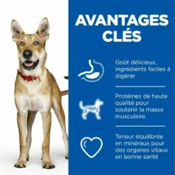 HILL'S Science Plan Performance All Breed Adult Au Poulet - Croquettes Pour Chien 8 HILL'S Science Plan Performance All Breed Adult Au Poulet - Croquettes Pour Chien -Promos Wanimo Boutique hill s science plan performance all breed adult au poulet croquettes pour chien 1 2