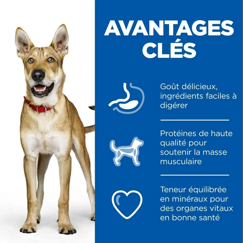 HILL'S Science Plan Performance All Breed Adult Au Poulet - Croquettes Pour Chien 3 HILL'S Science Plan Performance All Breed Adult Au Poulet - Croquettes Pour Chien – Image 3