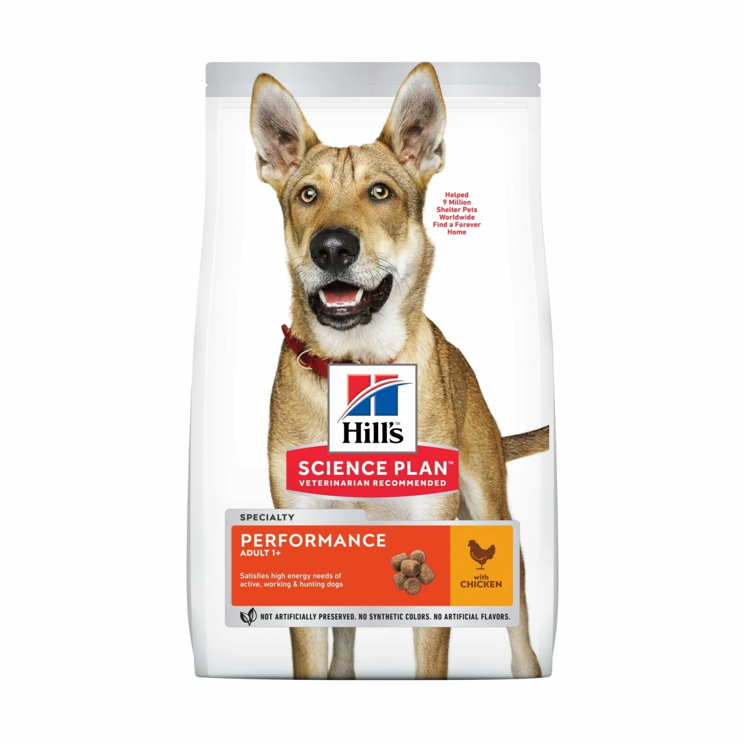 HILL'S Science Plan Performance All Breed Adult Au Poulet - Croquettes Pour Chien 6 HILL'S Science Plan Performance All Breed Adult Au Poulet - Croquettes Pour Chien – Image 6