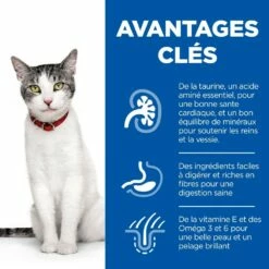HILL'S Science Plan Senior 11+ Au Poulet - Croquettes Pour Chat -Promos Wanimo Boutique hill s science plan senior au poulet croquettes pour chat 1 2