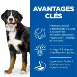 HILL'S Science Plan Senior Vitality Large Mature Adult 6+ Au Poulet - Croquettes Pour Chien 7 HILL'S Science Plan Senior Vitality Large Mature Adult 6+ Au Poulet - Croquettes Pour Chien -Promos Wanimo Boutique hill s science plan senior vitality large mature adult au poulet croquettes pour chien 1 2