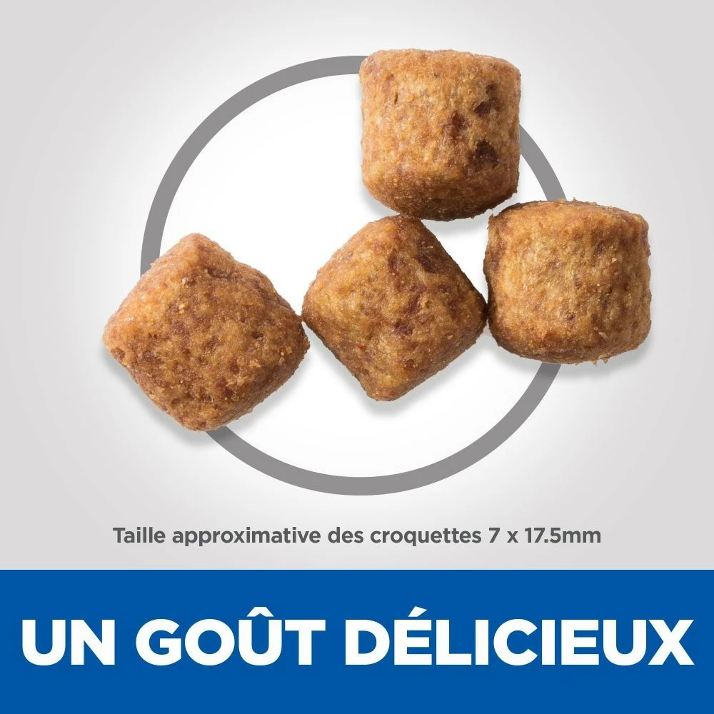 HILL'S Science Plan Senior Vitality Large Mature Adult 6+ Au Poulet - Croquettes Pour Chien 4 HILL'S Science Plan Senior Vitality Large Mature Adult 6+ Au Poulet - Croquettes Pour Chien – Image 4