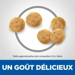 HILL'S Science Plan Senior Vitality Mature Adult 7+ Au Poulet - Croquettes Pour Chat -Promos Wanimo Boutique hill s science plan senior vitality mature adult au poulet croquettes pour chat 1 4