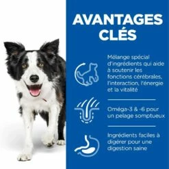 HILL'S Science Plan Senior Vitality Medium Mature Adult 7+ Au Poulet - Croquettes Pour Chien -Promos Wanimo Boutique hill s science plan senior vitality medium mature adult au poulet croquettes pour chien 1 2