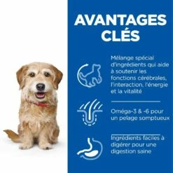HILL'S Science Plan Senior Vitality Small & Mini Mature Adult 7+ Au Poulet - Croquettes Pour Chien -Promos Wanimo Boutique hill s science plan senior vitality small mini mature adult au poulet croquettes pour chien 1 2