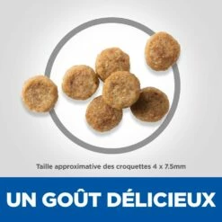 HILL'S Science Plan Senior Vitality Small & Mini Mature Adult 7+ Au Poulet - Croquettes Pour Chien -Promos Wanimo Boutique hill s science plan senior vitality small mini mature adult au poulet croquettes pour chien 1 3