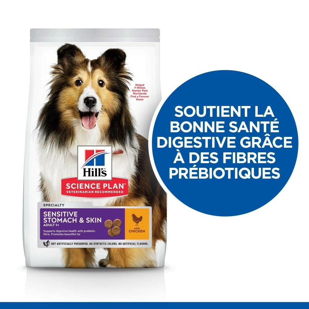 HILL'S Science Plan Sensitive Stomach & Skin Medium & Large Adult Au Poulet - Croquettes Pour Chien 2 HILL'S Science Plan Sensitive Stomach & Skin Medium & Large Adult Au Poulet - Croquettes Pour Chien – Image 2