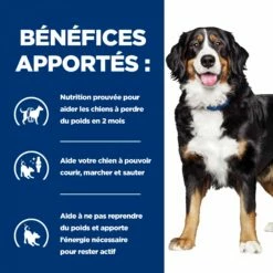 Hill's HILL’S Prescription Diet J/d Metabolic+Mobility En Boîtes Au Poulet – Pâtée Pour Chien -Promos Wanimo Boutique hills prescription diet j d metabolic mobility en boites au poulet patee pour chien 1 2