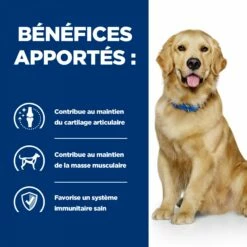 Hill's HILL’S Prescription Diet J/d Mobility En Boîtes Au Poulet – Pâtée Pour Chien -Promos Wanimo Boutique hills prescription diet j d mobility en boites au poulet patee pour chien 1 3