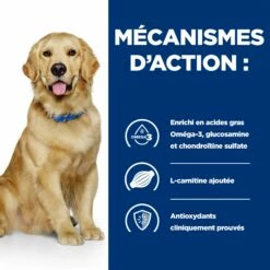Hill's HILL’S Prescription Diet J/d Mobility En Boîtes Au Poulet – Pâtée Pour Chien -Promos Wanimo Boutique hills prescription diet j d mobility en boites au poulet patee pour chien 1 4