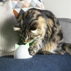 Hub De Connexion -Promos Wanimo Boutique hub de connexion sure petcare 4